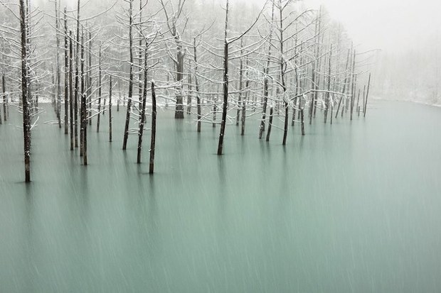 снежный пруд Японии обои