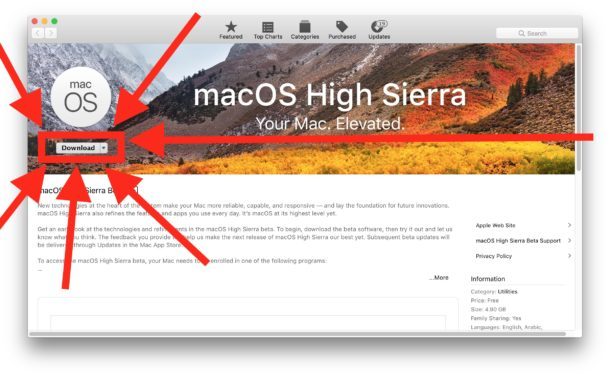 Загрузить macOS High Sierra Public Beta