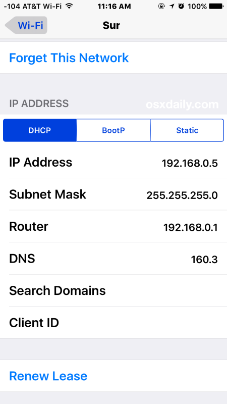 Найти IP-адрес Wi-Fi в iOS