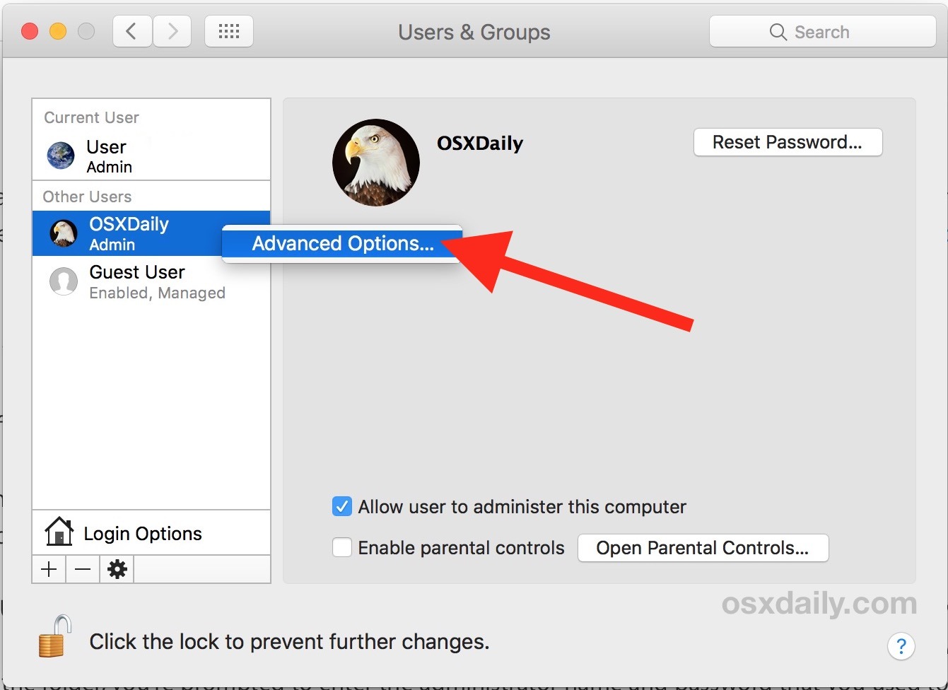 Выберите «Дополнительные параметры», чтобы изменить домашний каталог пользователя на Mac