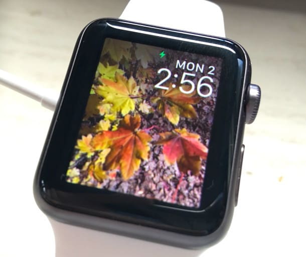 Apple Watch с фотографиями, скопированными на него