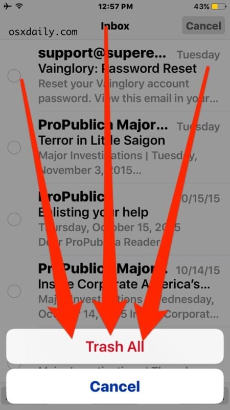 Подтвердить удаление корзины Все сообщения электронной почты в приложении iOS Mail