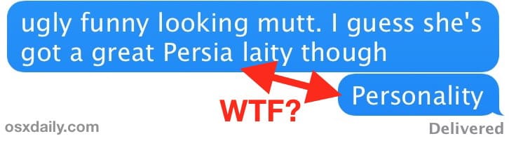 iPhone автокоррекция может быть отключена, иногда она неточна и далека