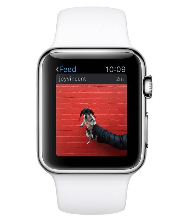 Приложение Instagram на Apple Watch