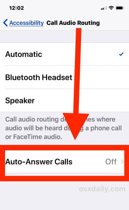 Включить автоматический ответ на звонки iPhone
