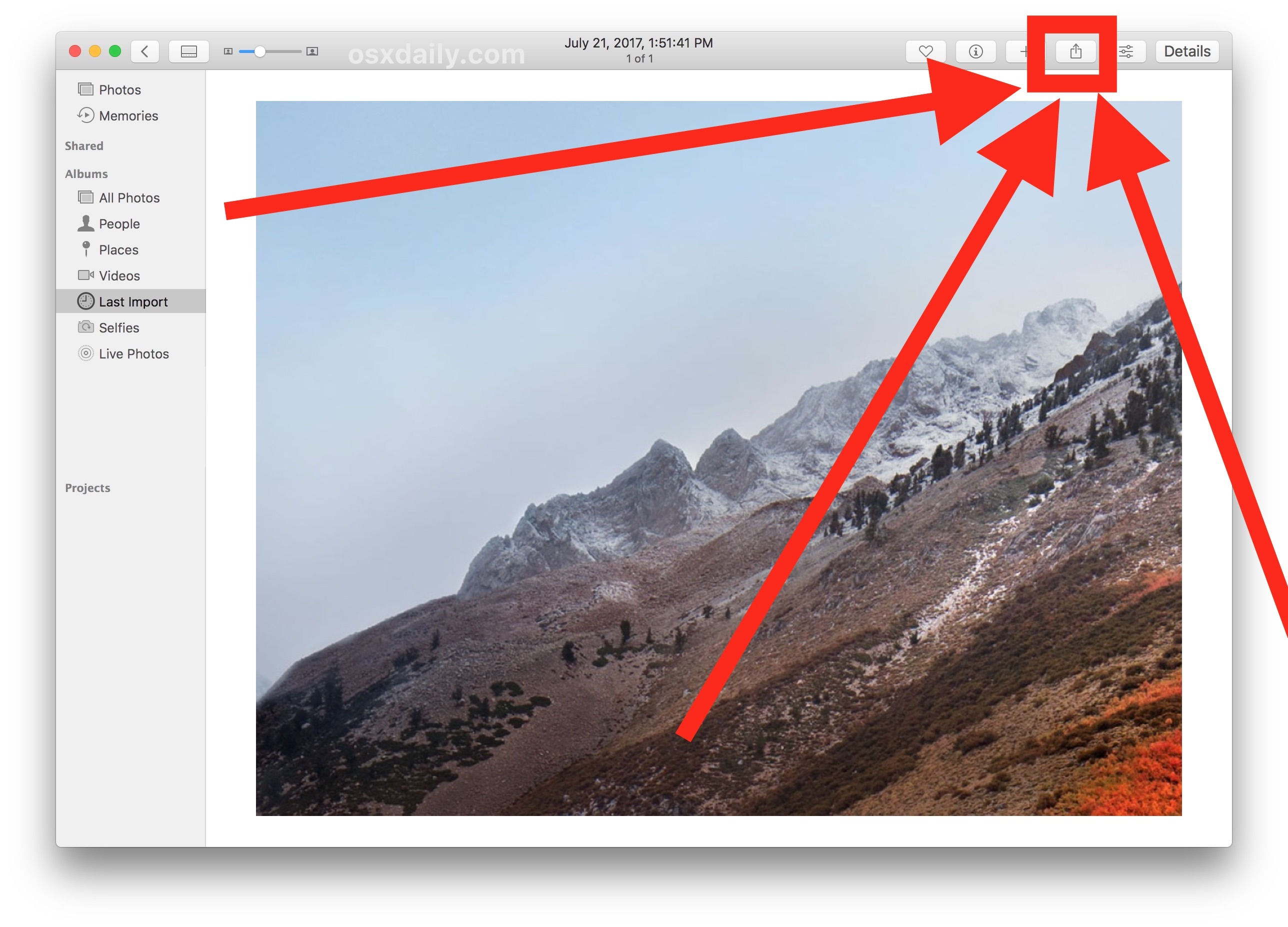 Выберите кнопку «Поделиться» в приложении «Mac Photos»