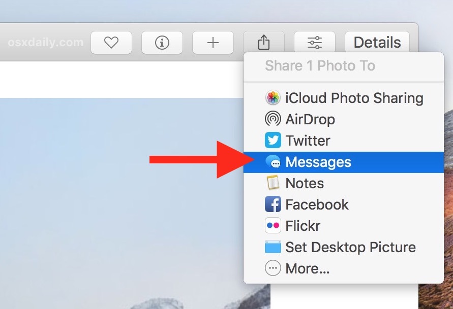 Выберите способ совместного использования изображения или видео с фотографий на Mac