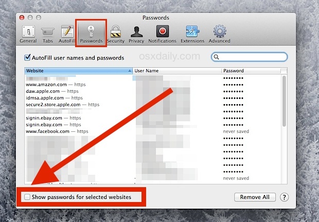 Показать пароли для веб-сайта в Safari для Mac