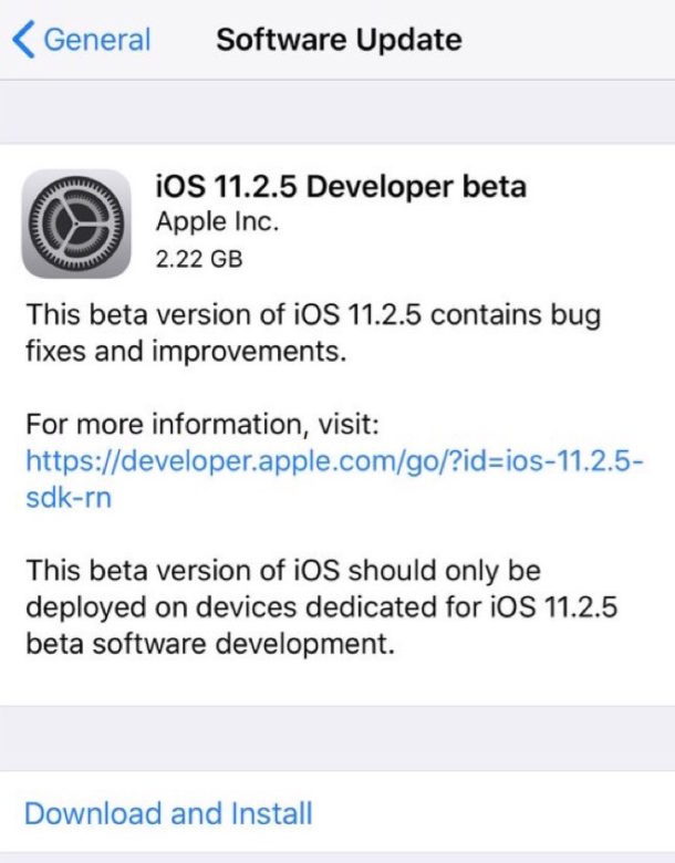 iOS 11.2.5 beta 1 скачать