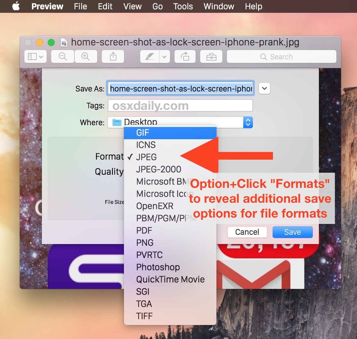 Доступ к альтернативным форматам экспорта изображений в приложении Mac OS X Preview